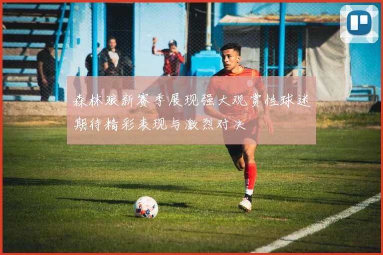 森林狼新赛季展现强大观赏性球迷期待精彩表现与激烈对决