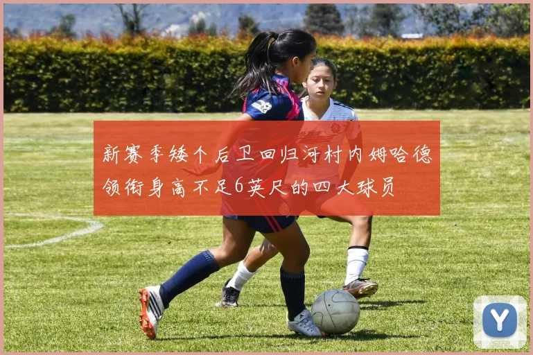 新赛季矮个后卫回归河村内姆哈德领衔身高不足6英尺的四大球员