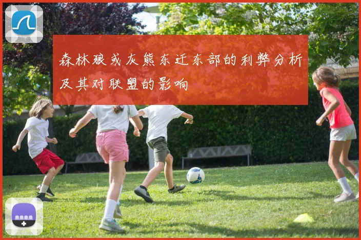 森林狼或灰熊东迁东部的利弊分析及其对联盟的影响